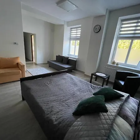 Apartment Trzciana *