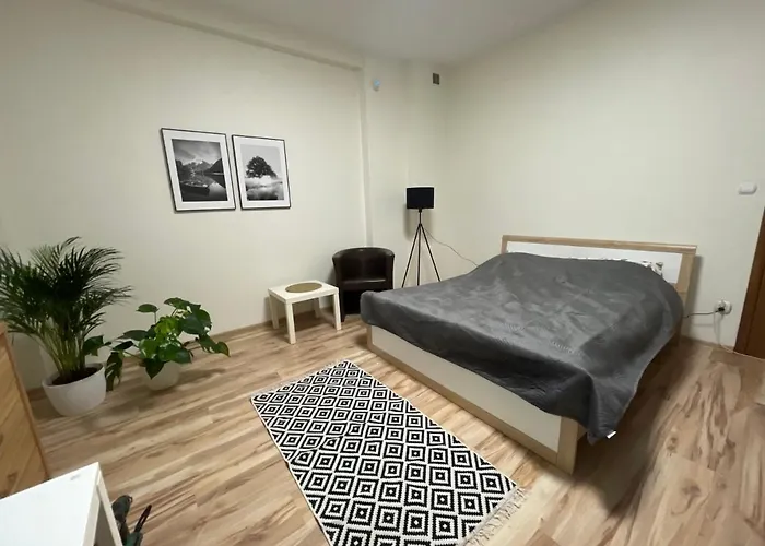 Trzciana Appartement